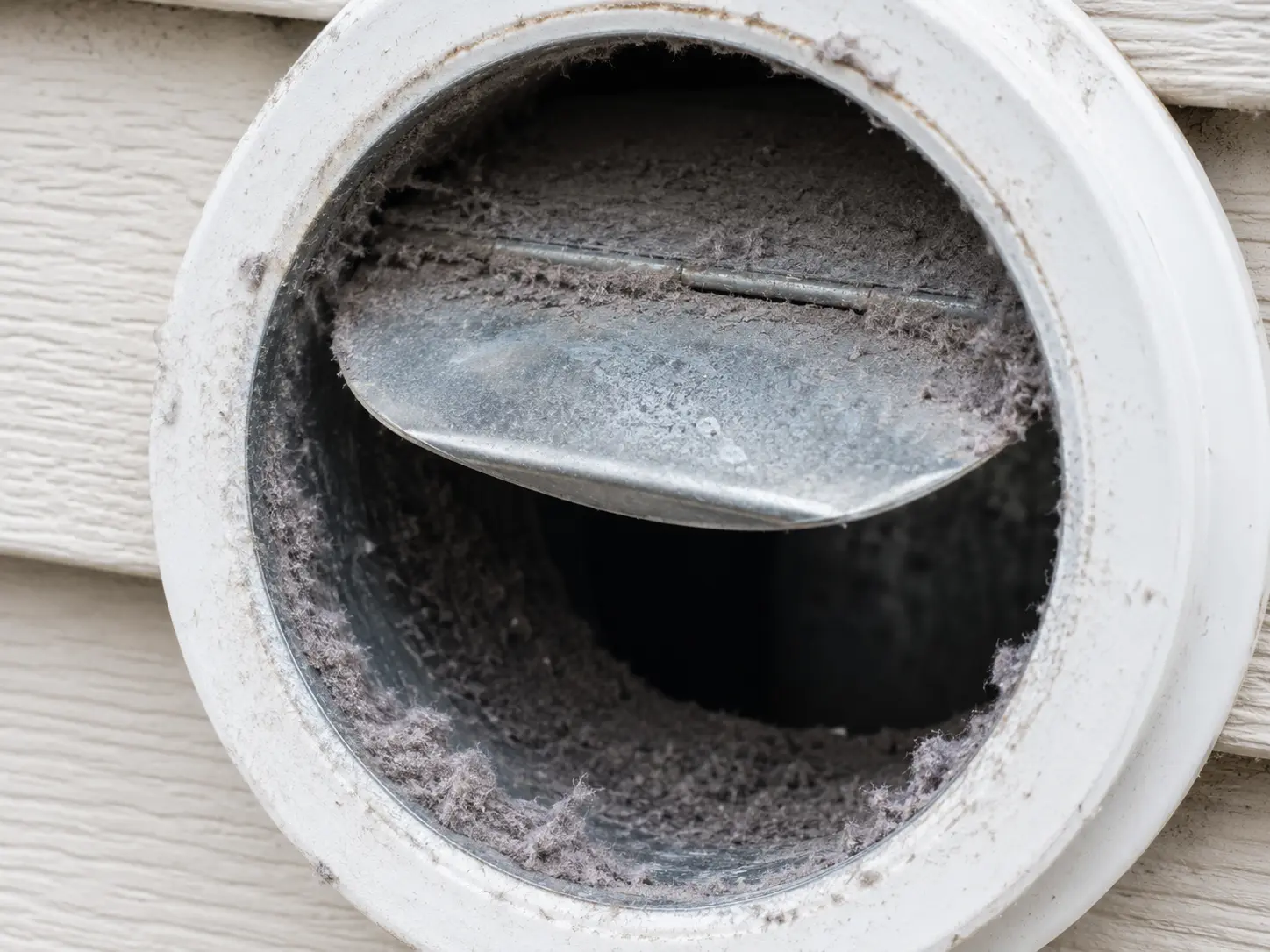 Lint Removal Service